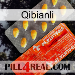 Qibianli new01